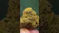 Video Thumbnail: THC Bunny