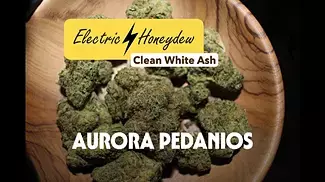 Electric Honeydew | Aurora Pedanios | UK Medical Cannabis Review