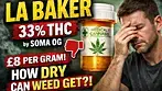 LA Baker T33 by Soma OG review