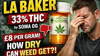 LA Baker T33 by Soma OG review