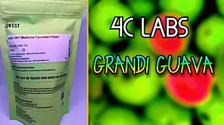 4C Labs - Grandi Guava (UK medication Review)