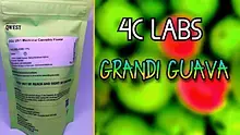Herb Gaming Video Thumbnail