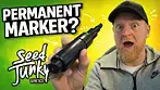 SeedJunky | Permanent Marker | UK Medical Flower Review