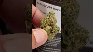 Garlic  Zkittles - AAAA GZ - Medicinal UK Flower