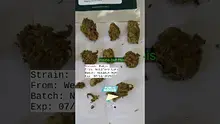 UKTHC Video Thumbnail