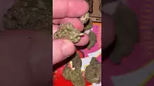 St0nerLukas Video Thumbnail