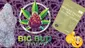 Video Thumbnail: Big Bud Reviews
