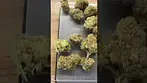 4C labs Crumbled Lime Ten, UK Medical