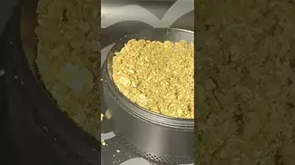 Click here to see the buddys!!