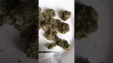 Medical Bud Reviews Video Thumbnail