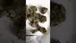 Video Thumbnail: Medical Bud Reviews