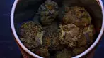 Gelato GEL-T20 Glass Pharms Releaf Medical Cannabis vaporiser