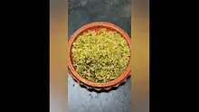 THC Bunny Video Thumbnail