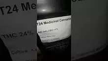 26wrld Video Thumbnail