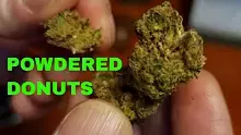 Smacksalad Video Thumbnail