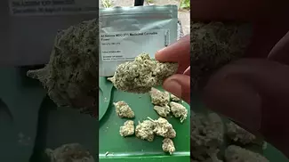 All Nations Mac doughnut uk medical My thoughts  #medicalcannabisuk #uk #patient #youtubeshorts