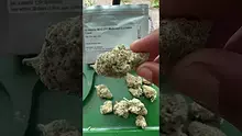 Bajan Video Thumbnail