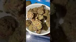 Craft Botanics - Gelonade 25% THC
