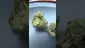 Video Thumbnail: Barry Needs Buds