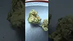 Mac Deluxe T30 by Soma OG Bud Porn #medicalcannabis #cannabiscommunity #relaxation #strainreview