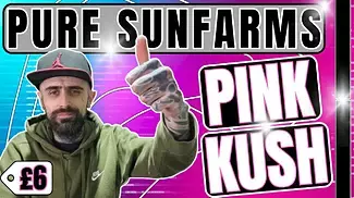  Pure SunFarms Pink Kush | UK Medical Cannabis 