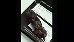 Dank of England - Union Jack Herer