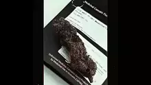 Cannabaz Video Thumbnail