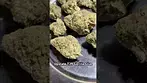 Upstate T29 Gorilla Glue weight