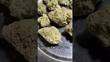 Pain Patient Video Thumbnail