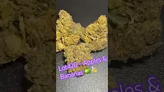 Lot420 ~ Apples & Bananas T26 Review in description 