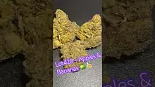 Smokey Mo Video Thumbnail