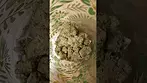 Green Britannia Bonné Nuit Bon Bon & Qwest Morning Sun