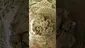 Video Thumbnail: Medical UK Cannabis