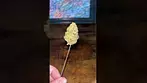 Curaleaf ~ Wedding Pop Triangle (24%)