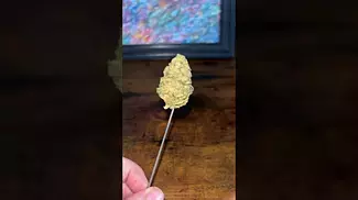 Curaleaf ~ Wedding Pop Triangle (24%)