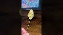 Smokey Mo Video Thumbnail