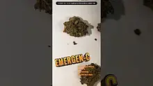 UKTHC Video Thumbnail