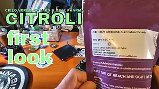 CITROLI FIRST LOOK | Sativa dom | 8.50/g | 25% | Cielo Verde, 4C Labs & Xeal