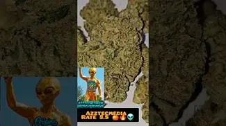 Origine Nature GG T26 Golden Gauth  Azztecmedia UK MEDICAL Reviews #medbud.wiki #medicalcannabis