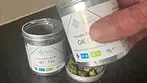 First Look: Grape Kush & Black Triangle Kush | UK Medical Cannabis (GlassPharms Trial Strains)