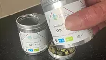 Review Captain  Video Thumbnail