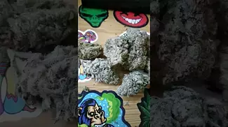 All Nations Mac Doughnut T27 UK medical flower #medicalcannabis #cannabisdaily