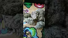 VIP THC Video Thumbnail
