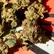 Flower Photo of All Flower/Strains (Prescription Medical Cannabis) BTR T24 Black Triangle