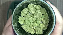Medical Cannabis Patient Reviews UK Video Thumbnail
