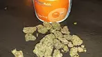 Tally Mon Adven FLOS CuraT12 Strain  Review