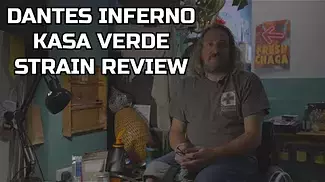 Dante’s Inferno Medical Cannabis Review | Kasa Verde | United Patients Alliance