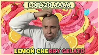LOT420 AAAA Lemon Cherry Gelato UK Medical Flower Review