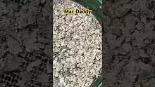 BabyzBudz Video Thumbnail