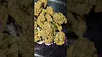 SUNDAZE  CANDY STORE (UK PRESCRIPTION MEDICATION)